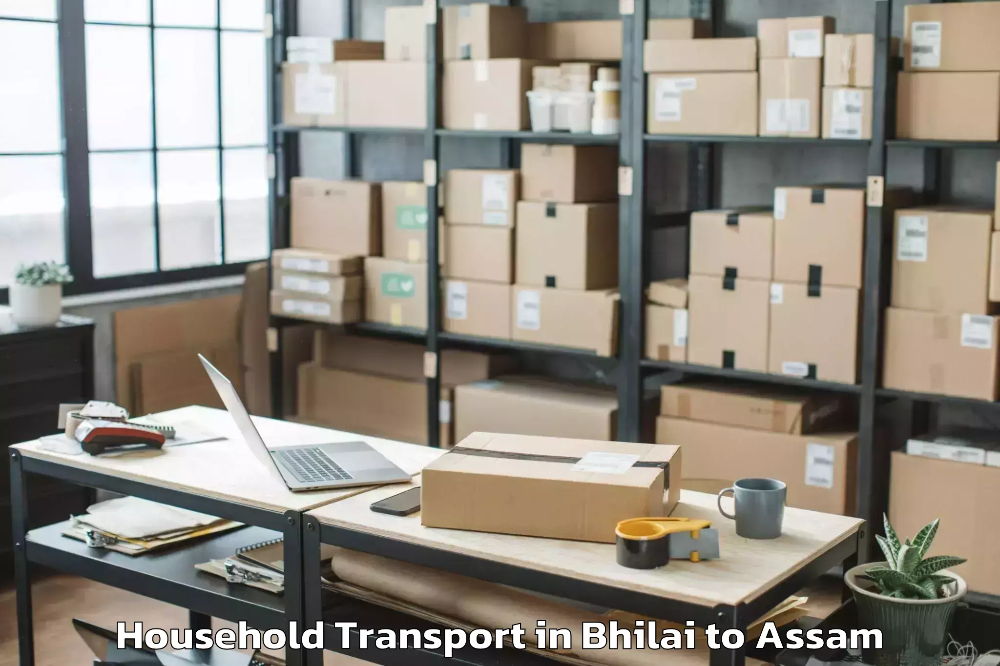 Bhilai to Mikirbheta Household Transport